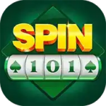 Spin 101